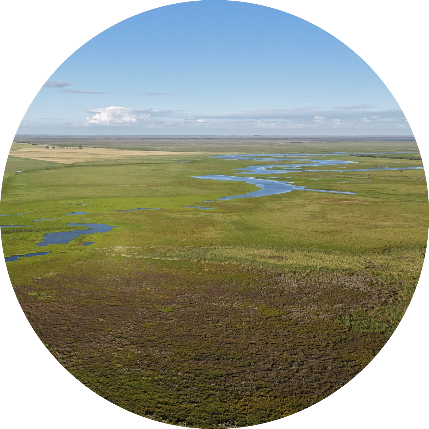 Pantanal vista aérea dos rios